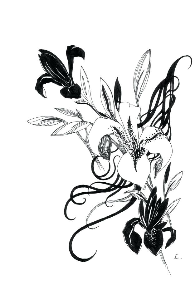 625x900 drawing of lillies