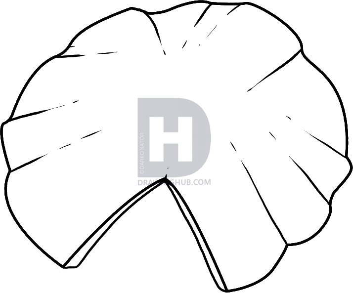 714x593 How To Draw A Lily Pad, Step