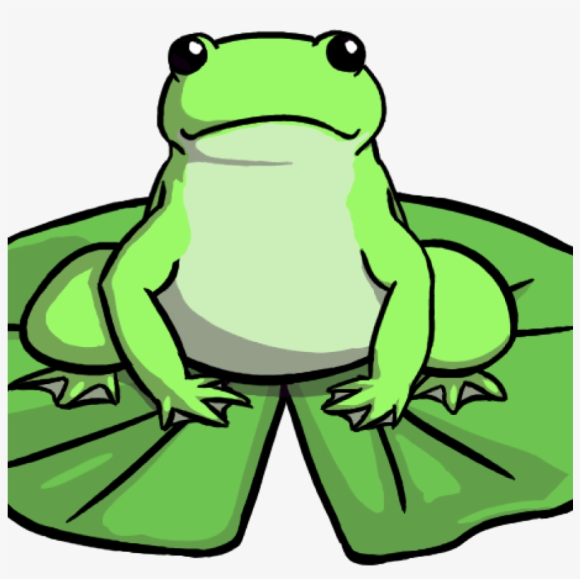 820x819 lily pad clipart image of frog on lily pad clipart