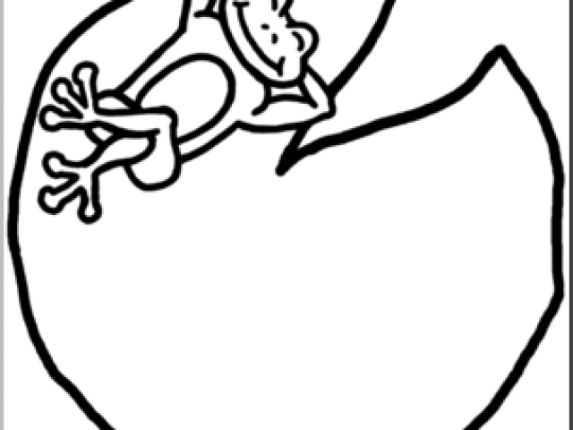 640x480 Lily Pad Clipart Flower Drawing