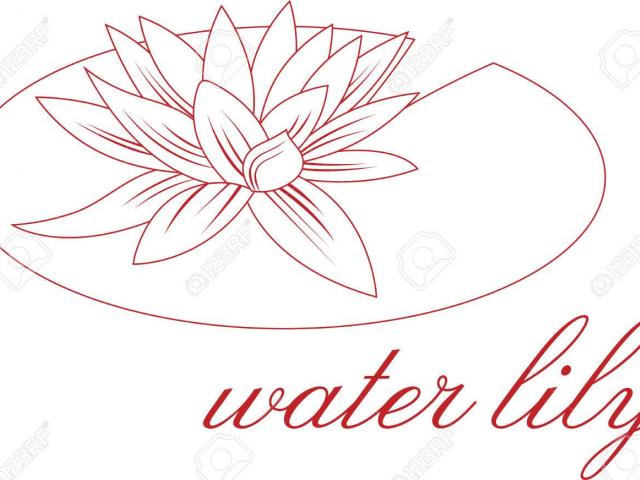 640x480 Lily Pad Clipart Flower Drawing