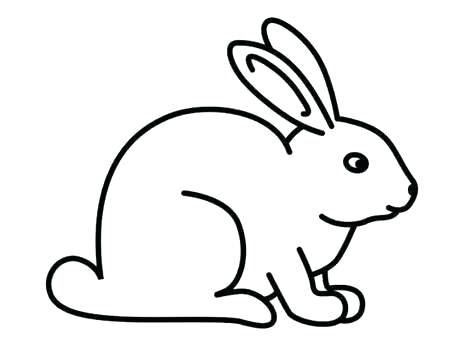 474x355 drawing of rabbit draw a bunny rabbit bunny rabbit drawings step