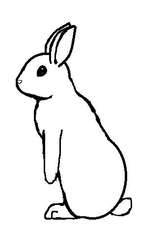 336x466 Rabbit Lineart