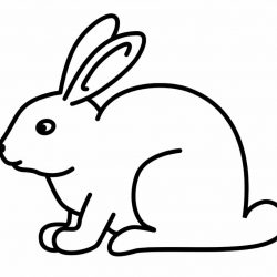 250x250 Bunny Rabbit Drawing Easy Step