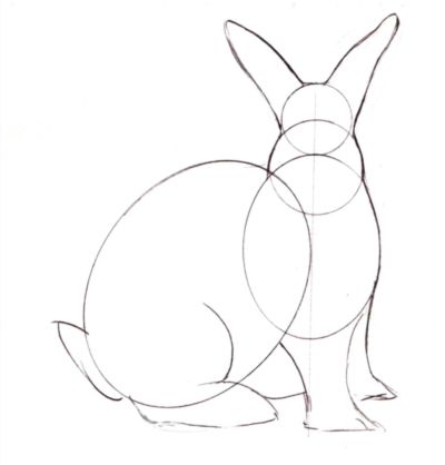 400x418 Bunny Rabbit Drawing How To Draw A Realistic