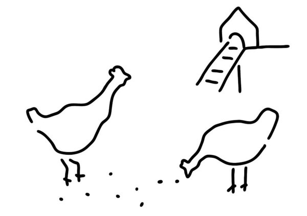 600x423 Chicken Hen Chickens Hof Art Print