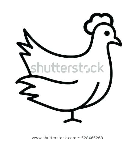 450x470 Chicken Outline Outline Draw Chicken