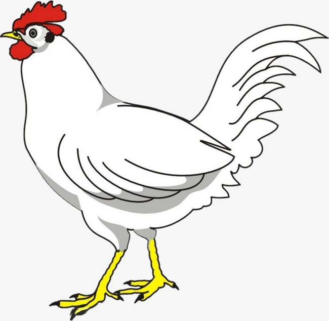 650x634 Home Chicken Hand Drawing, Chicken Clipart, Home Clipart, Hand