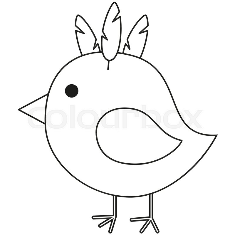 800x800 Line Art Black And White Chicken Chick Stock Vector Colourbox