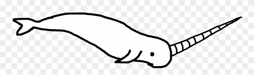 880x261 The Newest Narwhal Stickers