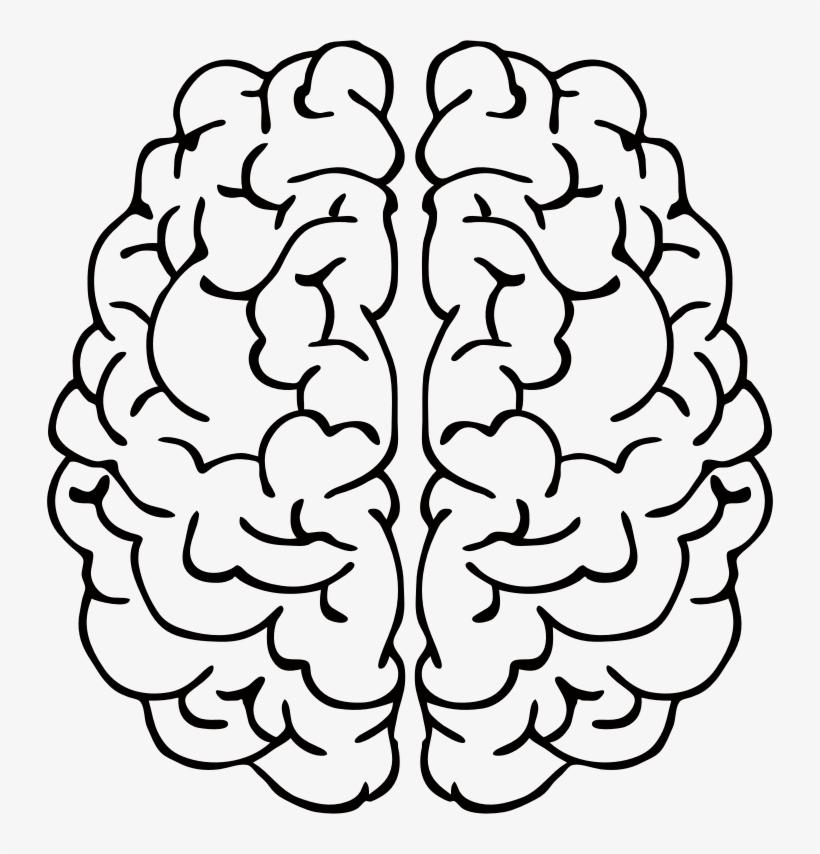820x854 Clip Art Black And White Download Brain Line Drawing