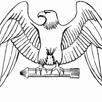 336x336 Bald Eagle Drawing Easy Sketches Line Pictures Videos Iydunetwork