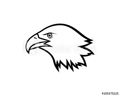 500x400 Simple Line Art Bird Eagle Head Illustration Vector Logo Animal