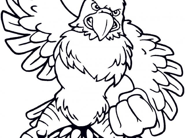 640x480 Acorn Clipart Line Drawing Free Clip Art Stock Illustrations