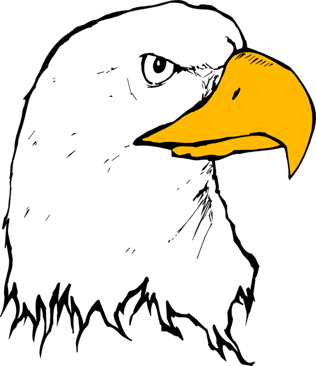 647x750 Bald Eagle Bolton Crossing Drawing Cartoon Cc0