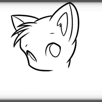 336x336 Simple Cat Face Drawing Realistic A On Person Picture Color