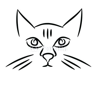 400x400 simple face drawing screenshot simple animal face drawings