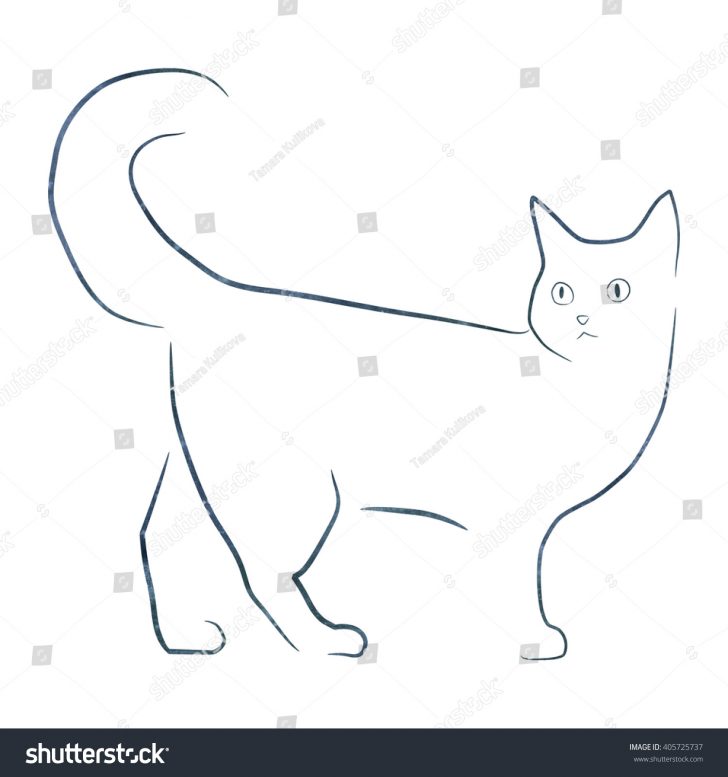 728x777 Cat Line Drawing Simple Clipart Free Download Tattoo Awesome