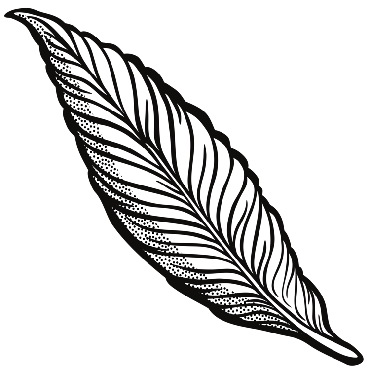750x750 Collection Of Free Feather Drawing Line Download On Ui Ex