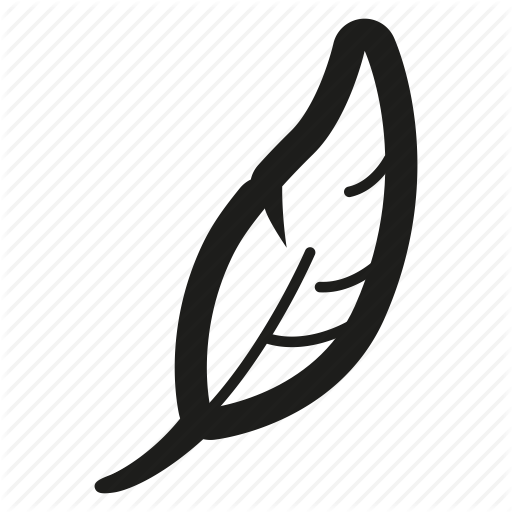 512x512 Drawing Feather Line Transparent Png Clipart Free Download