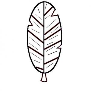 302x302 How To Draw Feather