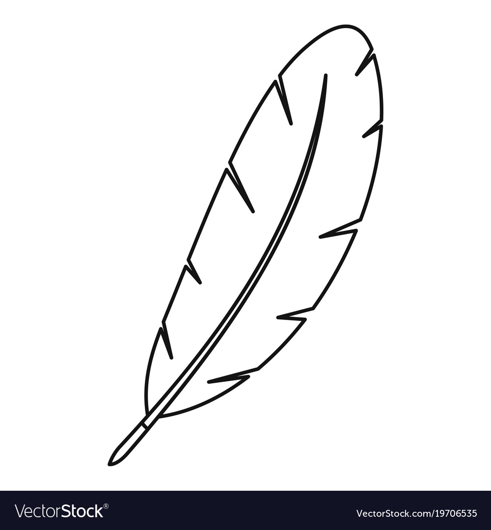1000x1080 Huge Collection Of 'feather Outline Drawing' Download More Than