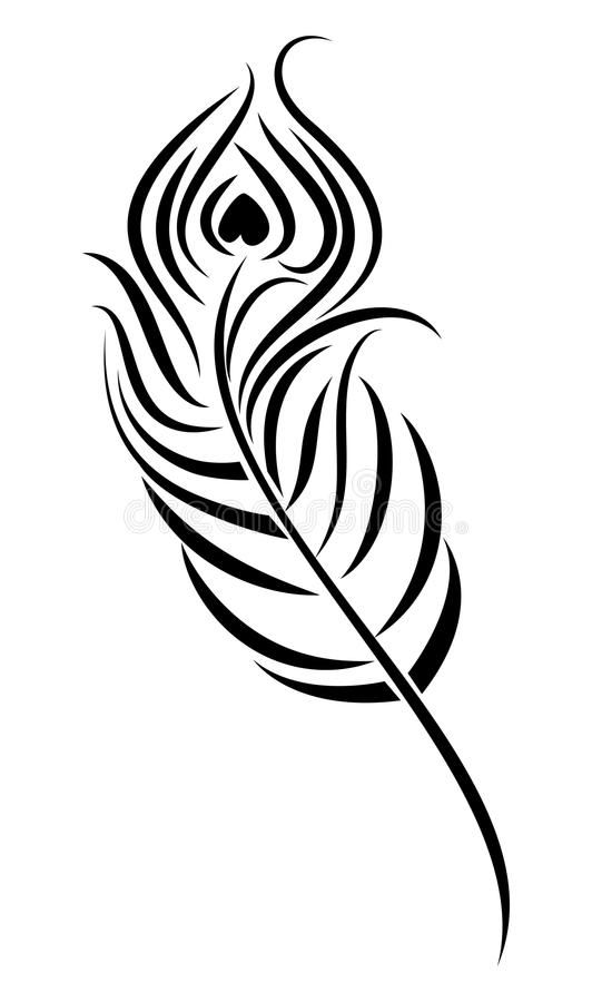 532x900 Illustration About Illustration Of Peacock Feather In Black