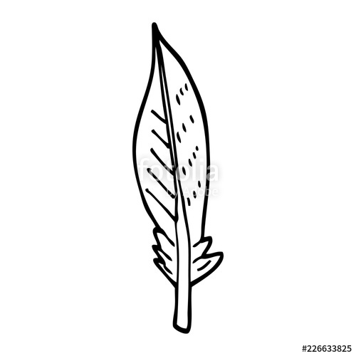 500x500 Line Drawing Cartoon Green Feather Stock Image And Royalty Free