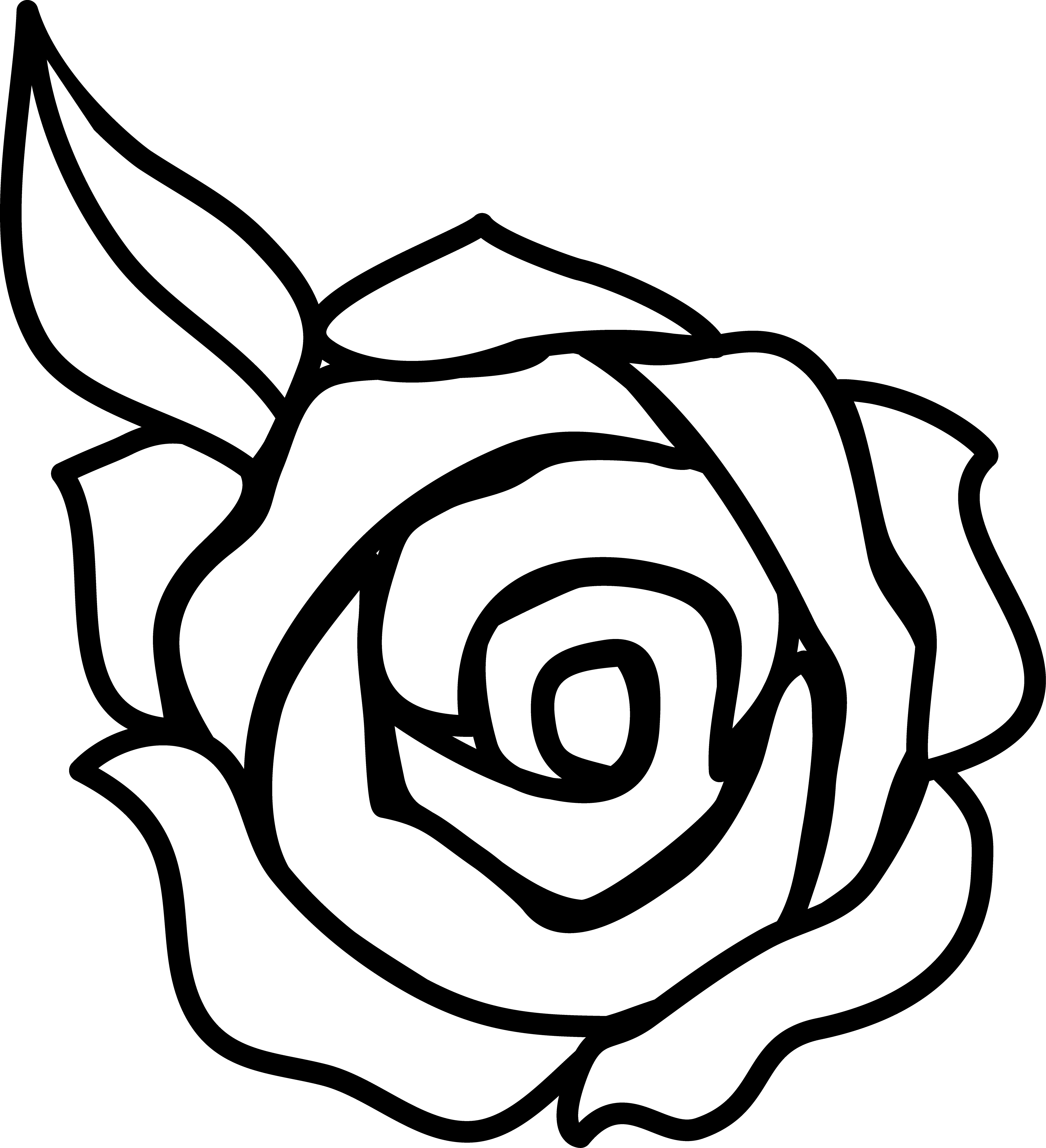 4042x4434 Line Drawing Rose