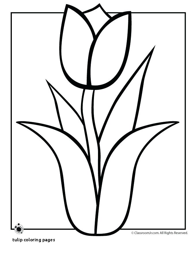 680x880 Embroidery Drawings And Tulips Line Drawing Pattern Kids