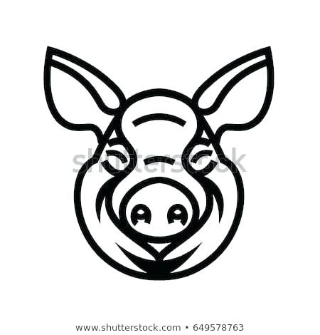 450x470 pig head drawing lord of the flies pig head drawing pig head