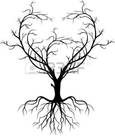 382x450 Free Clipart Line Drawing Live Oak Tree Collection