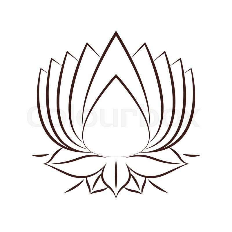 800x800 Lotus Flower Drawing
