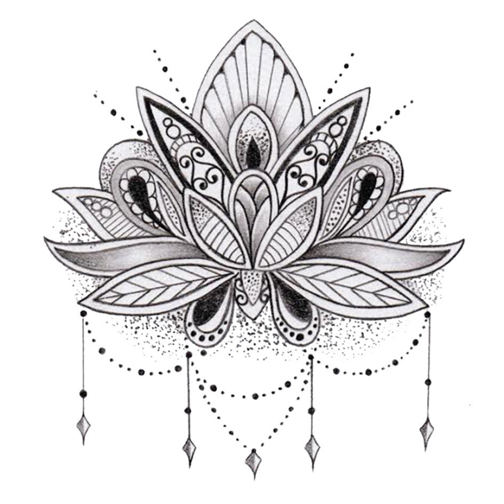 1024x1024 Drawings Of Lotus Flowers Pictures