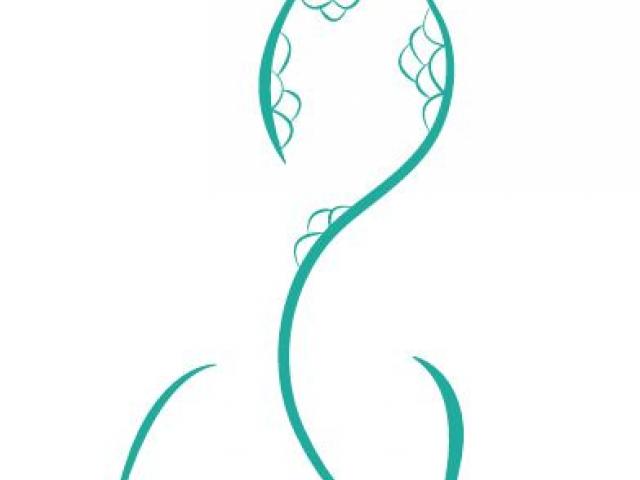 640x480 Mermaid Tail Clipart Drawing