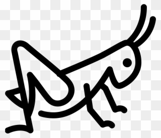 320x275 Free Png Grasshopper Clip Art Download