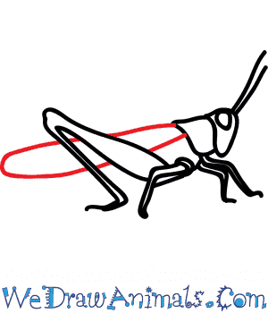 300x350 How To Draw A Field Grasshopper