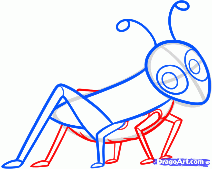 870x693 How To Draw A Grasshopper For Kids, Step