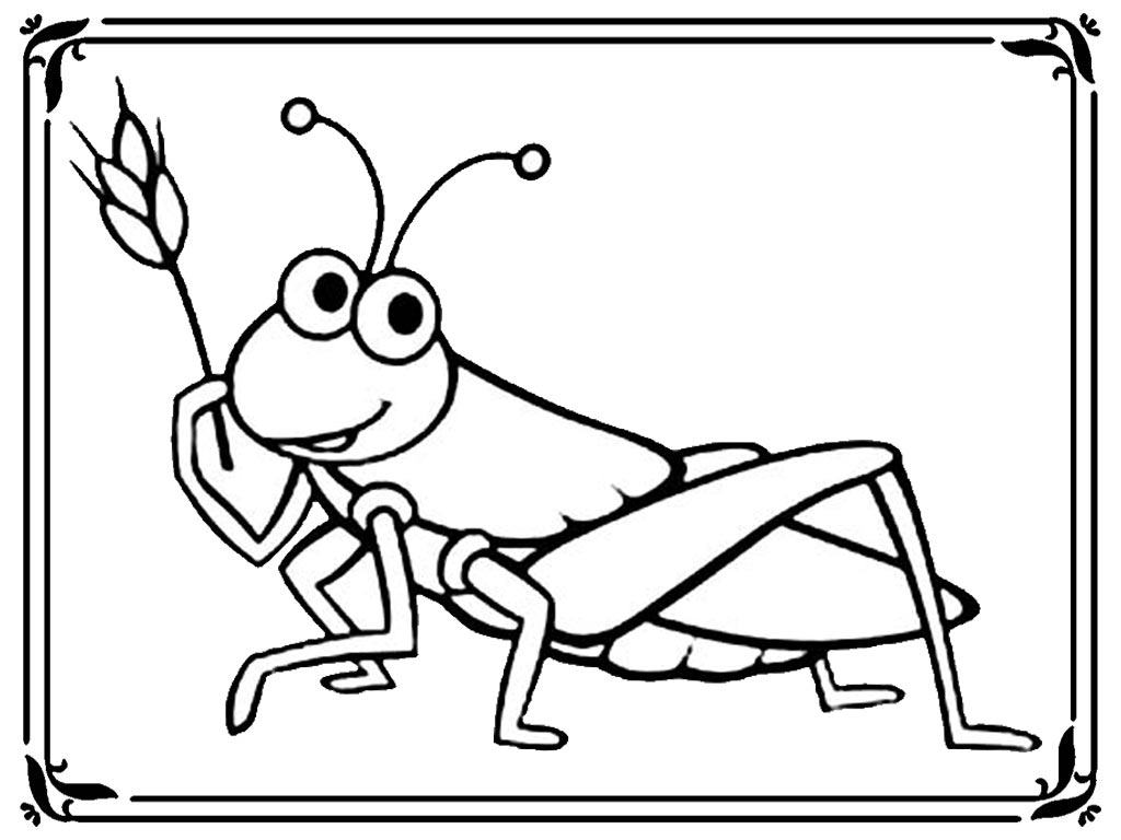 1024x768 Collection Of Free Grasshopper Clipart Coloring Amusement