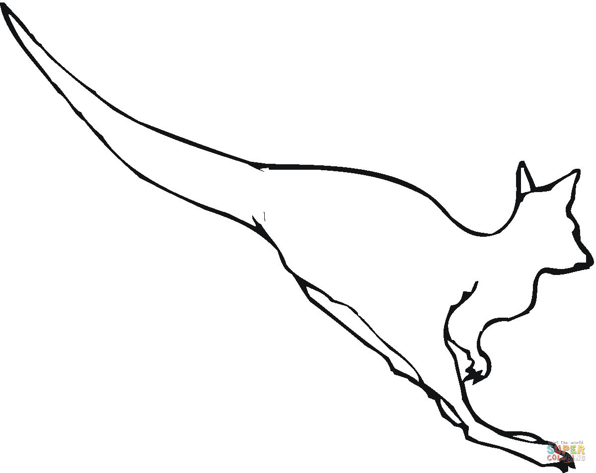 Line Drawing Of A Kangaroo