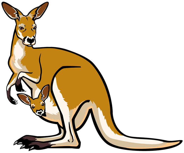 750x622 Drawing Kangaroos Line Transparent Png Clipart Free Download