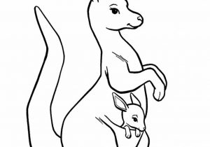 300x210 Drawing Of A Kangaroo Image Result For Kangaroo Line Drawing