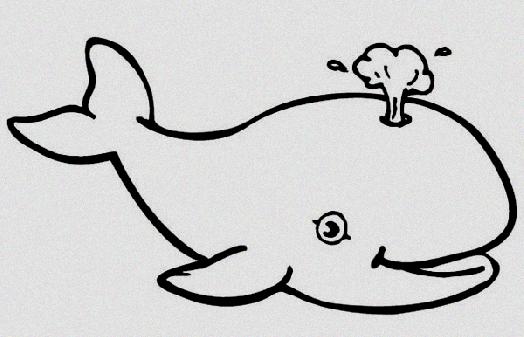 524x337 How To Draw Kangaroo Paw