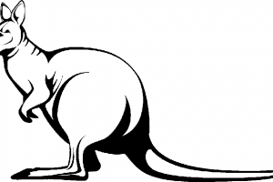 300x200 Kangaroo Clipart Drawing