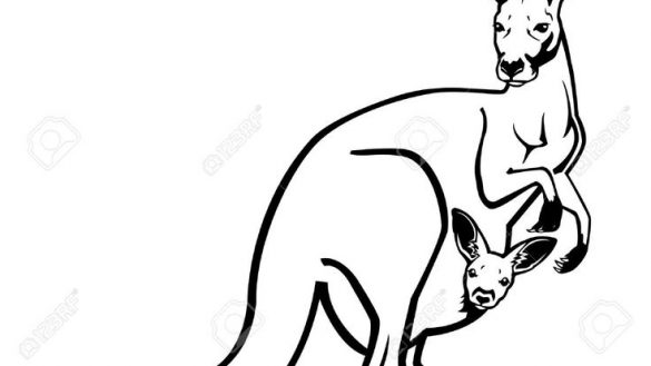 585x329 Amazing Chic Outline Picture Of Kangaroo Drawing At Getdrawings