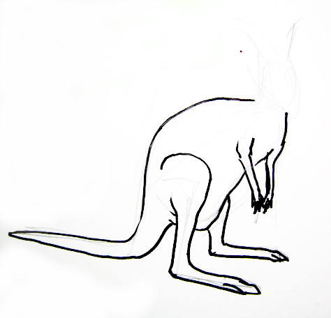 474x456 Learn How To Draw A Kangaroo
