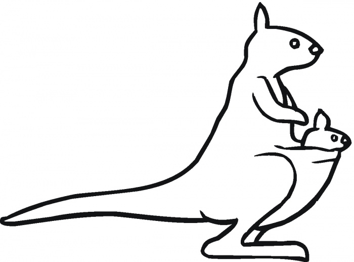 700x517 Temporary Line Drawing Of A Kangaroo At Getdrawings Free