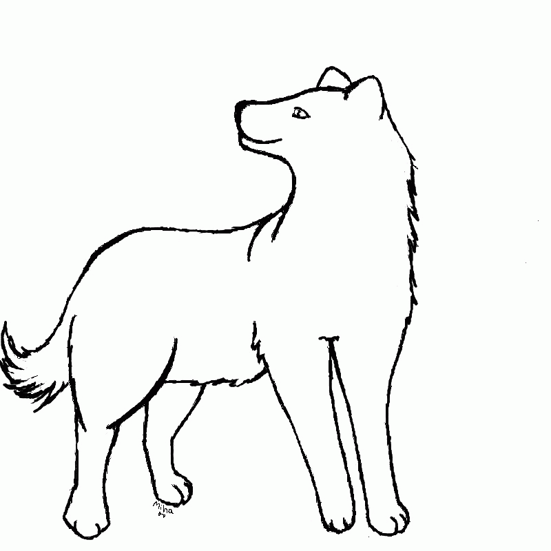 Line Drawing Of A Wolf