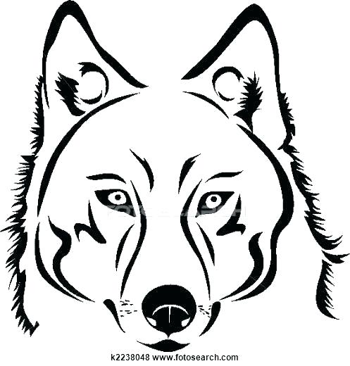 497x520 Wolf Outline Drawing Grey Wolf Drawing