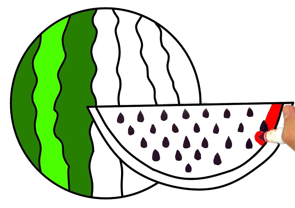 1024x720 Stirringwing Images Of Watermelon Pics Picture How Tow For Baby